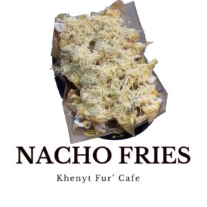 NACHO FRIES